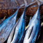 Kareena Kapoor looks royal at Manish Malhotra's Diwali bash, Veer Pahariya, Tara Sutaria walk hand-in-hand. WATCH