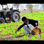 Sister of Durgapur rape accused on run helps cops nab him