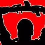 Alec Baldwin reveals he and brother Stephen crashed wife Hilaria's car into tree: ‘I swerved…’