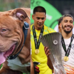 ‘Let’s stop comparing and start celebrating’: Simbu urges fans to support the Diwali releases Dude, Bison and Diesel