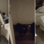 Evening news wrap: US Chamber of Commerce challenges $100,000 H-1B visa fee; SC flags rise in digital arrest scams & more