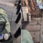 Salman Khan pulls apart Malti Chahar's ‘ekdum bakwas’ reasoning behind ‘kapde pehen ke baat kar’ comment, dozes off