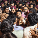 Women's WC: Rain plays spoilsport; NZ-PAK clash abandoned without result