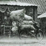 Inside Bollywood's sparkling Diwali: Akshay Kumar-Twinkle celebrate in London; Rajinikanth's day is all for family