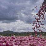 Bihar Assembly polls: Opposition allies climb down, yet face friendly fights in state