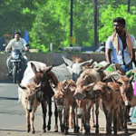 Amit Shah has ensured every Indian life is safe, dignified: PM Modi