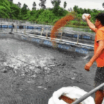 The clock is ticking for Rohit Sharma and Virat Kohli in India’s must-win Adelaide ODI