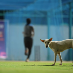 ‘All filmmakers in India should feel ashamed’: Ram Gopal Varma hails Rishab Shetty in his review of Kantara Chapter 1