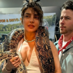 Steve Smith returns with Gabba hundred, sends Ashes warning to England