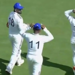 Stray dog case: Bihar official seeks exemption from SC citing Bihar polls; plea rejected with 'nothing to do' remark