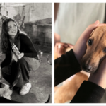 ‘It was raining …’: Congress recalls Indira Gandhi’s 1977 Bihar visit; posts pics of her on elephant