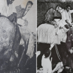 Aneet Padda spends time with adorable dogs and cats at animal shelter: ‘Left with fur on my clothes, calm in my chest’