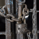 Zubeen's death: Fest organiser in SC, seeks NIA probe