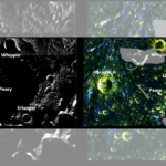 5th T20I: Rain washes out Brisbane match; India clinch series 2-1 against Australia