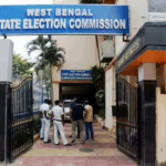 3 dead in crash as driver loses control trying to save wild boar