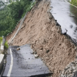 Wondering why Tamil Nadu and West Benagl are opposing SIR, court seeks EC view on plea for stay