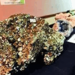 Doctor among 500 questioned as J&K police target Jamaat, hunt for ‘white-collar’ terror web