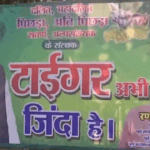 The Traitors season 4 cast revealed: Lisa Rinna, Donna Kelce, Colton Underwood and more join the game