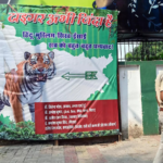 Bumrah, Pant's 'bauna' remark on Bavuma caught on stump mic – WATCH