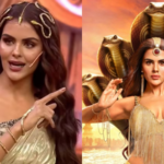 'Will you spend  ₹150 for Homebound': Kiran Rao on indie films' economics, says theatrical option 'not open to most'