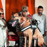 Supreme Court imposes cost on man seeking contempt case against judge