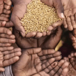 Asia Cup: Rare failure for Suryavanshi, but Dubey steers India 'A' into semis