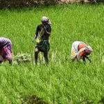 'Gogoi can contest elections in Pak': Himanta mocks Congress MP – Assam 2026 battle heats up