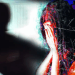 Shah Rukh-Priyanka Chopra were first choice for 2 States? Chetan Bhagat reveals being doubtful about Alia Bhatt-Arjun