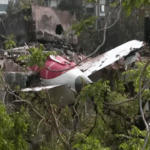 Exclusive | Park Seo Joon: I Would Love to Play a Korean Diplomat in India