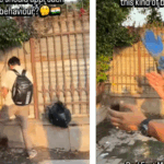 Zarine Khan death: Hrithik Roshan pays last respect at former mother-in-law's funeral; Bobby Deol hides his tears